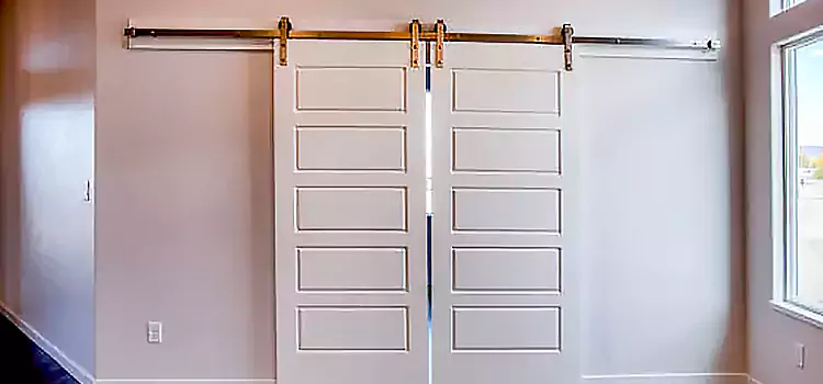 Glass Barn Door with Installation Hardware Kit West Chester