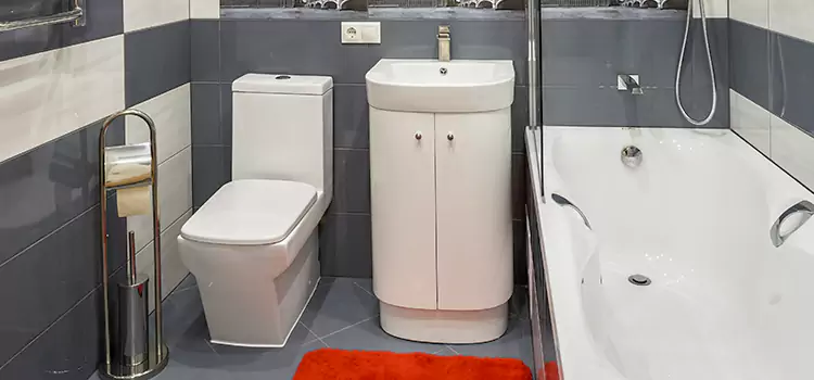 Hansgrohe Shaving Mirror West Chester