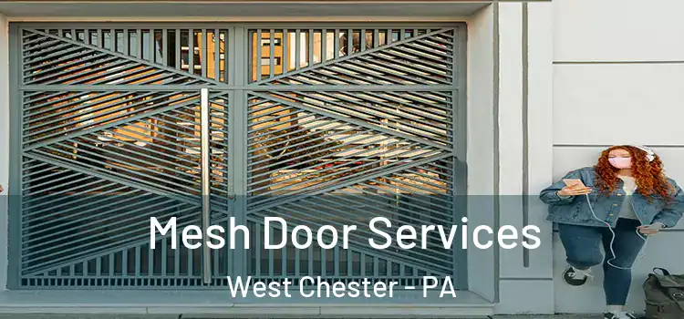  Mesh Door Services West Chester - PA