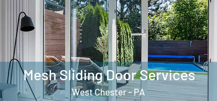 Mesh Sliding Door Services West Chester - PA